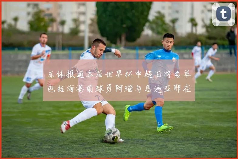 东体报道本届世界杯中超旧将名单包括海港前球员阿瑙与恩迪亚耶在内的10位球员